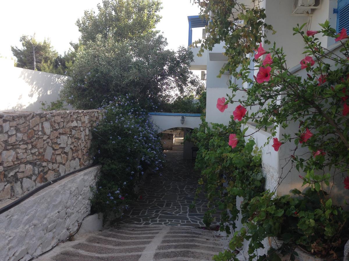 Studios Panorama Drios Exterior photo